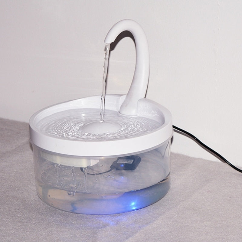 Cat Drinking Fountain