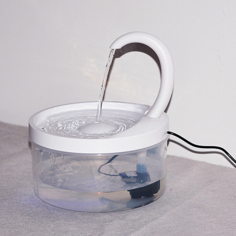 Cat Drinking Fountain